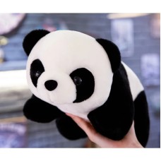 Panda - 0037572