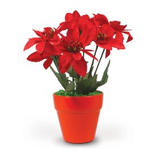 Αλεξανδρινό γλαστράκι με 7 λουλούδια 30εκ. σε 2 χρώματα - 008765