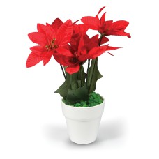 Αλεξανδρινό γλαστράκι με 5 λουλούδια, 25εκ. σε 2 χρώματα -008772